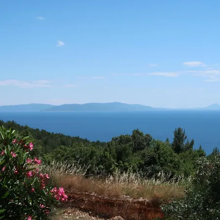 Magnolia - Rac165 By Interhome Apartman Rabac